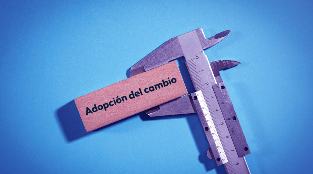 ¿Cómo medir el éxito de la adopción?