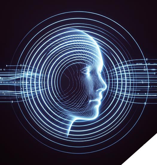 Silueta facial tridimensional rodeada de anillos de escaneo biométrico y flujos de datos horizontales para la verificación de identidad digital